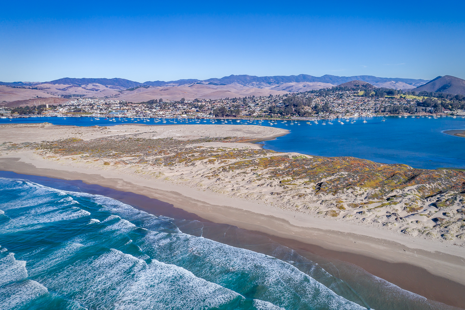 Bear Valley Realty — Central Coast banner